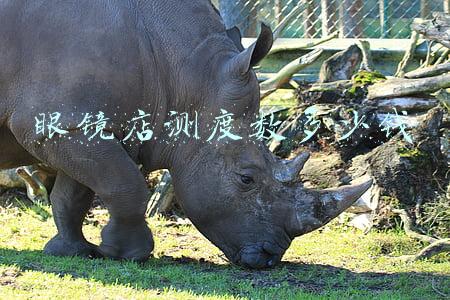 眼镜店测度数要多少钱_眼镜店测试度数多少钱
