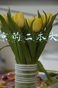 南京的二本大学