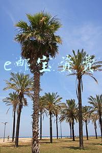 e邮宝资费