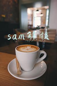 sam解锁steam成就(SAM解锁steam成就教程科普)