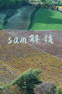 sam解锁成就会被ban吗(steam夏促活动终极指南，解锁成就拿代币，17元优惠券随便领)