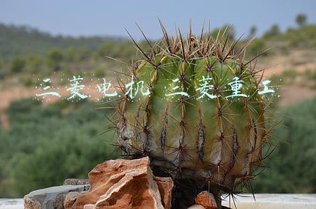 三菱电机 三菱重工海尔(等不到的集中供暖？！莫不如直接换成三菱重工海尔空气源热泵)