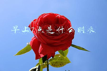 农历早上7点是什么时辰(行程卡带“*”会被隔离吗？别紧张！权威解答来了)