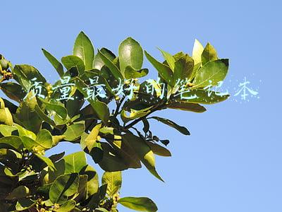 质量最好的笔记本