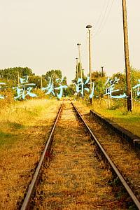 目前最好的笔记本电脑(2021年度高性价比商务本盘点，好用不贵才是硬道理)