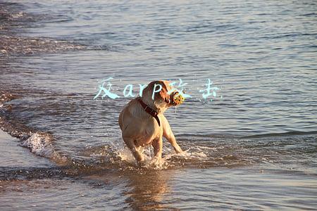 反arp攻击安卓(15款针对Android手机的免费攻击App)