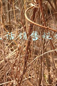 电话销售视频
