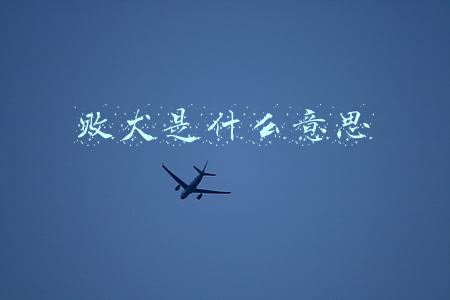 败犬是什么意思