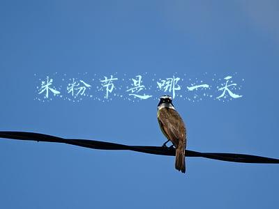米粉节是哪一天