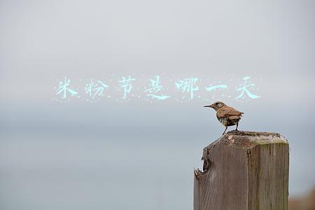 米粉节是哪一天
