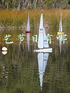 宋亚轩综艺节目有哪些(毫无综艺感的宋亚轩，为什么能参加《萌探》？看到导演后我懂了)