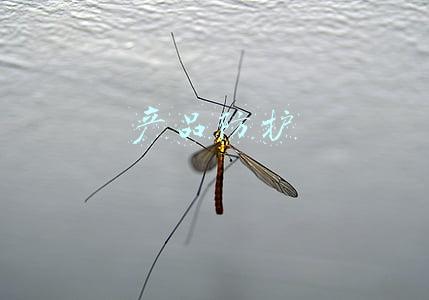 产品防护