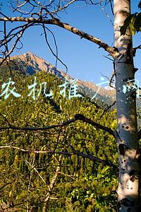 农机推广网