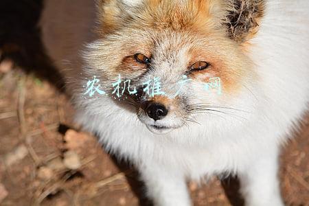 农机推广网
