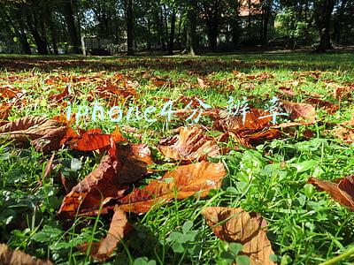 iphone4s忘记锁屏密码怎么办(苹果4开启了丢失模式关机忘记密码怎么办？急)