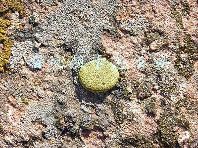 看视频卡怎么办