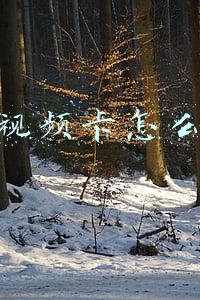 看视频卡怎么办 看视频卡怎么办