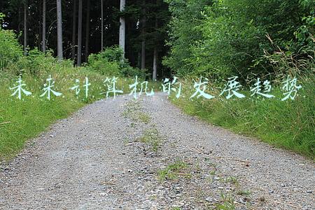 未来计算机的发展趋势