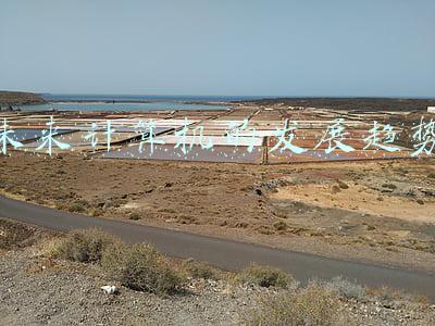 未来计算机的发展趋势