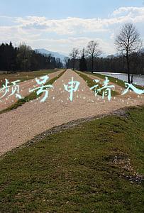 视频号申请入口