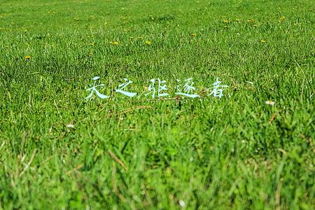 天之驱逐者