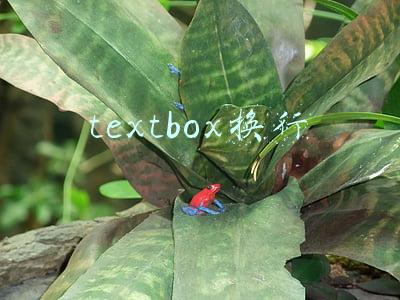 textbox换行