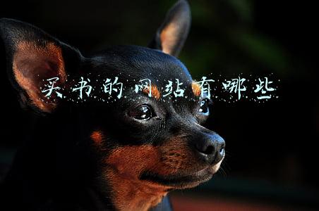 买书的网站有哪些(还需要买书？只是你没有看过这几个网站)