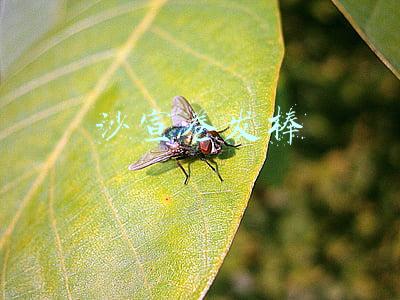 沙宣卷发棒