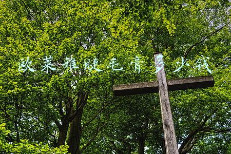 睫毛膏一般多少钱(热门知名的睫毛膏排行！好物自己会说话)