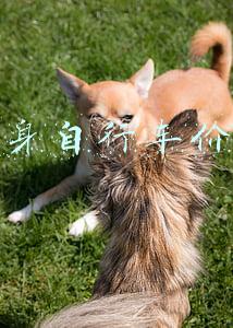 健身自行车价格
