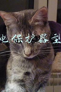 漏电保护器型号规格表(漏电保护器的保护原理及型号分析)