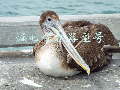 漏电保护器型号