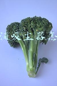 飞利浦吸尘器怎么样