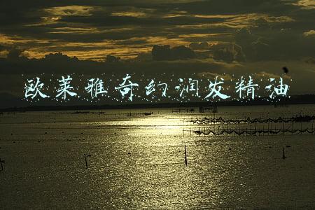欧莱雅奇幻润发精油