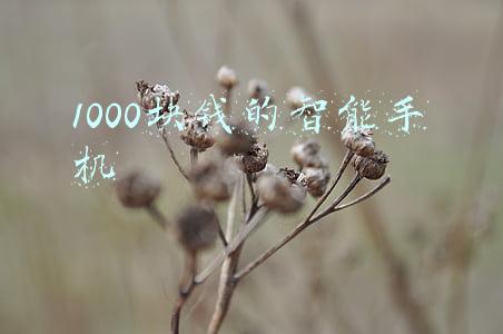 1000块钱的智能手机有哪些(新年“焕”新机！这四款手机好看又能打 最低仅1499元)