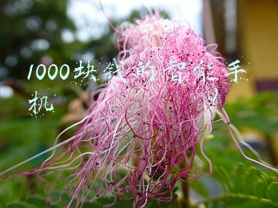 300块钱的智能手机(预算只有3千块？2021公认性价比最高的4款手机？高配低价才是首选)