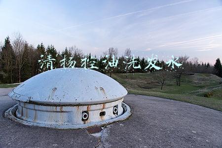 清扬控油洗发水真的控油吗(清扬、飘柔无人问津，又一国货洗发水走红，清爽控油去毛躁)