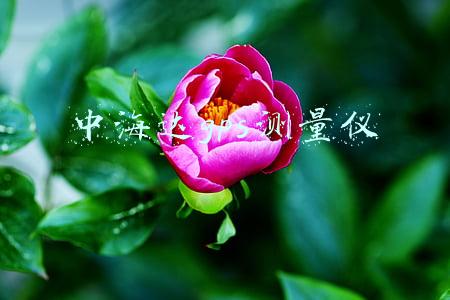中海达gps测量仪