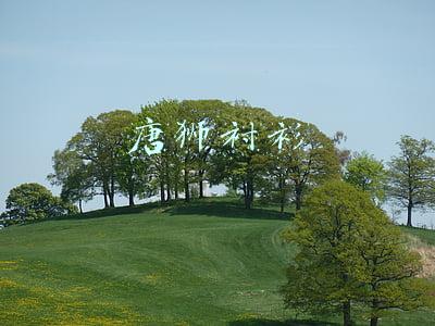 tonlion 唐狮旗舰店(新国潮时代成功俘获新生代的心，休闲装龙头唐狮的秘诀是什么？)