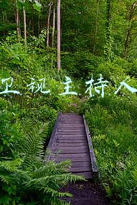 浙江卫视主持人朱丹