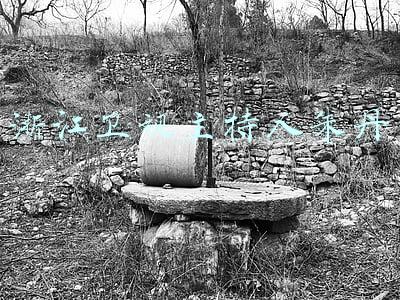 浙江卫视主持人朱丹