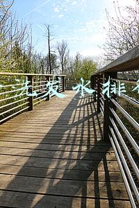 男士洗发水排行榜