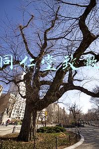 同仁堂致歉