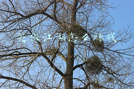 新笑傲江湖怎么赚rmb(新笑傲江湖手游：适合长期搬砖，小打小闹挺赚钱)