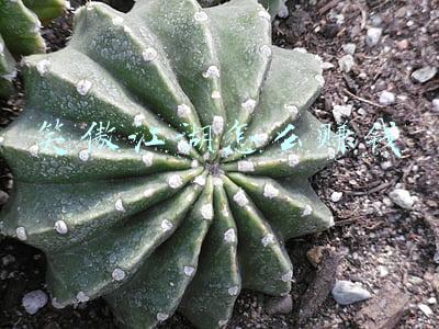 笑傲江湖ol怎么赚钱(新笑傲江湖手游2020年最新赚钱方法)