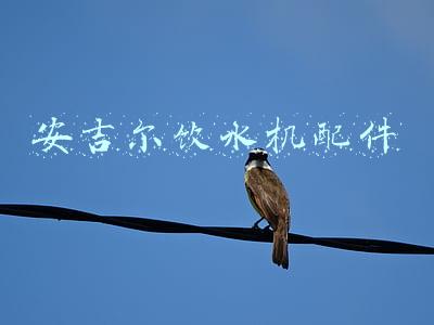 安吉尔饮水机配件图片(烟台：消费者喝一年“生锈”水，安吉尔饮水机不锈“变”生锈)