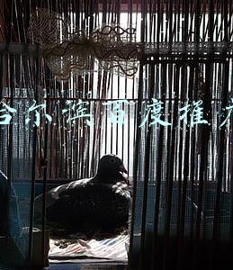 哈尔滨百度推广