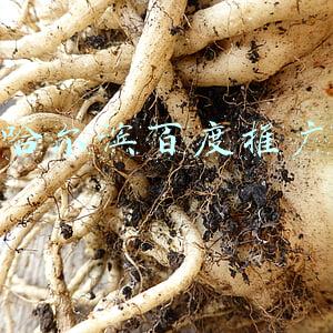 哈尔滨百度推广