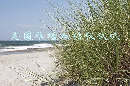 雅培血糖试纸官方网站(IPO雷达｜新冠检测产品企业微策生物冲IPO，业绩暴涨难持续，扩产10亿份血糖测试条卖给谁？)
