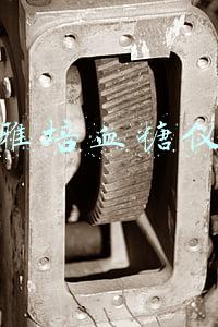 美国雅培血糖仪试纸